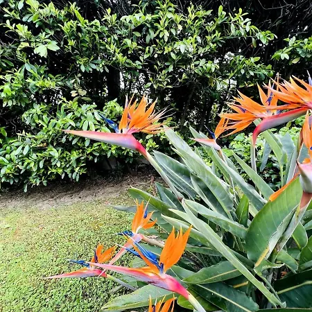 Dei Fiori - Luxury Open Space Appartement *