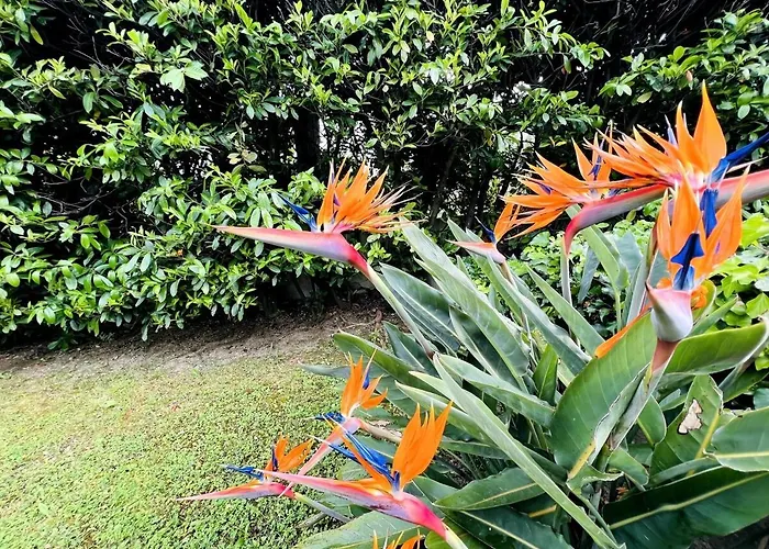 Dei Fiori - Luxury Open Space 公寓 *